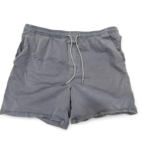 American Eagle Outfitters Women's blue grey Shorts